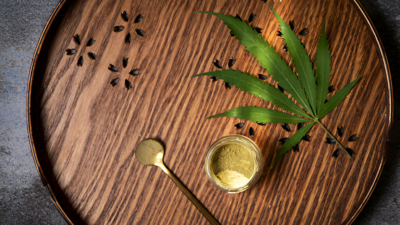 Best Place to Order Cannabis Seeds: What to Look For