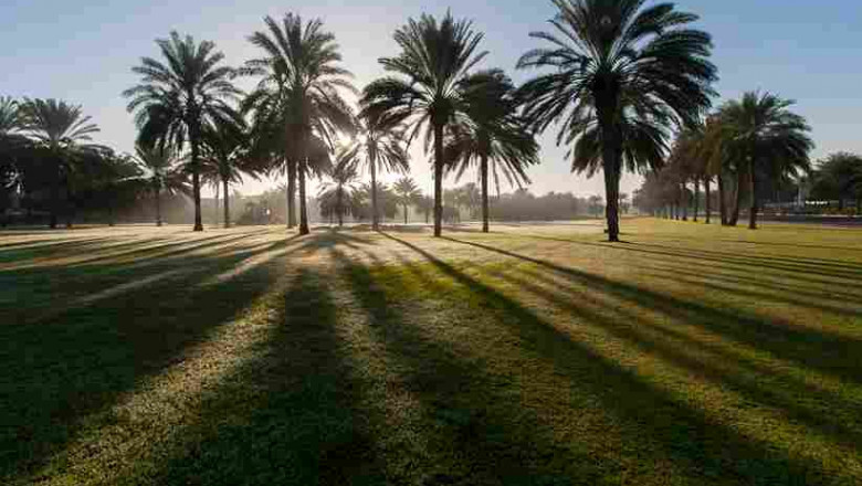 Green Planet Dubai: Secret Spots for the Best Photos
