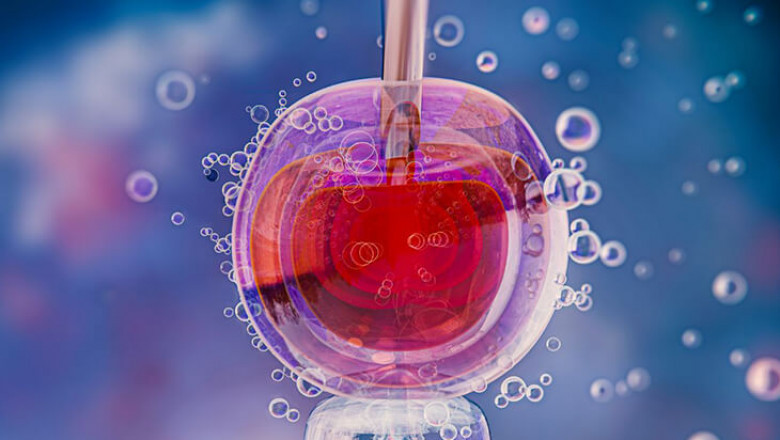 How Long Can an Embryo Be Frozen? Exploring Storage Duration and Success Rates