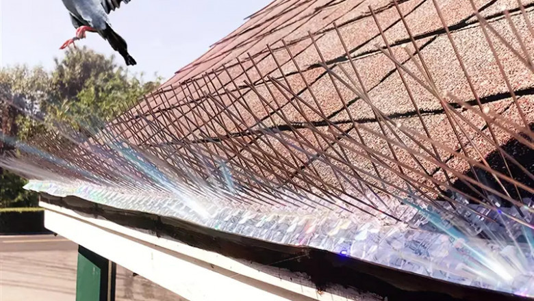 How Bird Spikes Improve Property Value in Dubai