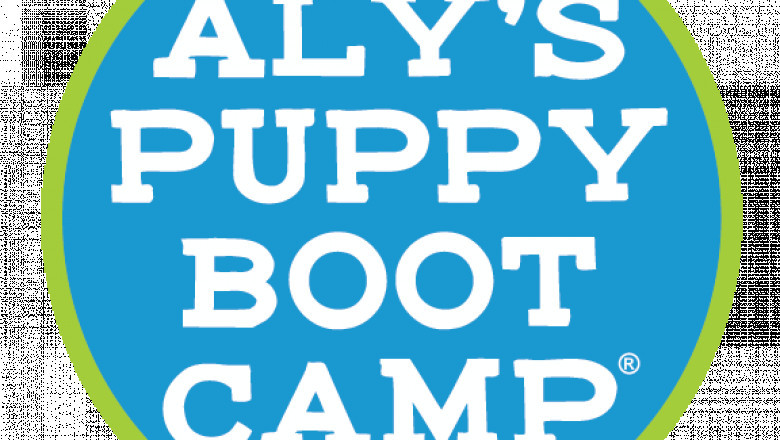 Why In-Person Dog Training Might Be the Breakthrough You and Your Dog Need