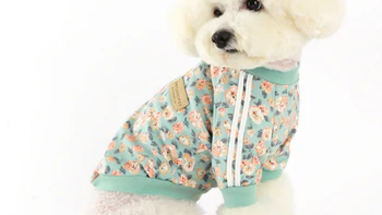 Why Quality Pet Wear Matters: Insights from a Leading Pet Clothing Store