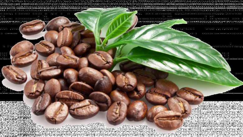 The Australia Coffee Substitute Market: A New Brew for the Health-Conscious