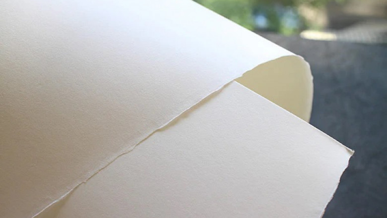 Bamboo Paper Manufacturing Plant Report 2025: Unit Setup, Cost and Requirements, Project Economics