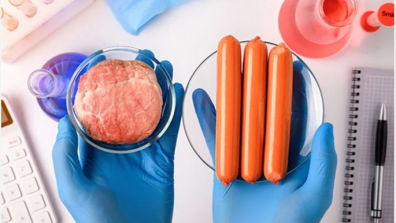 Synthetic Food Manufacturing Plant 2025: Detailed Project Report, Raw Materials Cost and Unit Setup