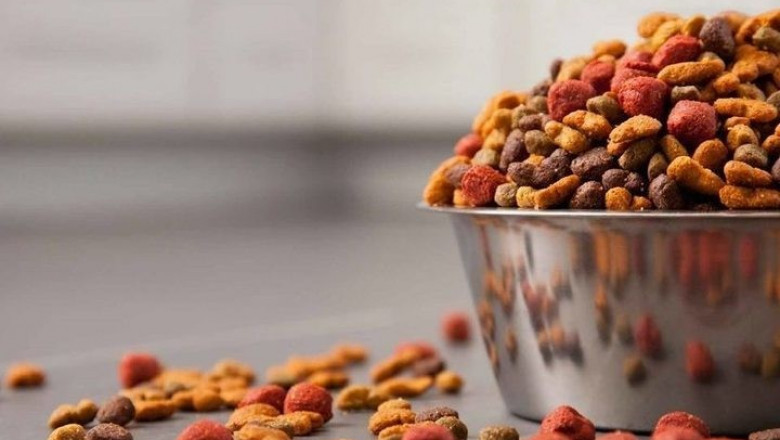 Spain’s Pet Food Market: Where Demand Meets Innovation