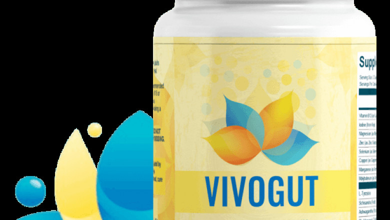 VivoGut™ UK Official Website | #1 Support Gut Health