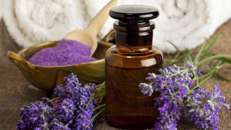Global Lavender Herbal Essential Oil Market Insights: Innovations and Consumer Preferences