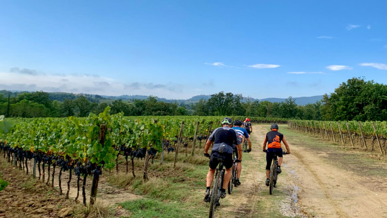 Discover Wild Landscapes with Pro MTB Guides
