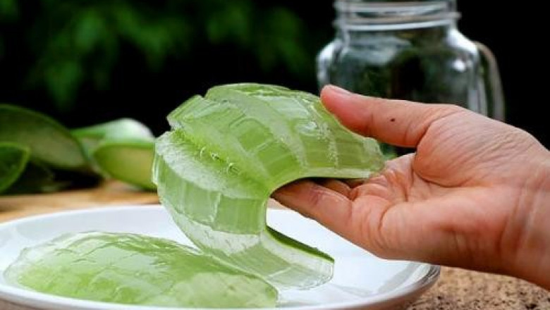 Global Aloe Vera Gel Market: Nature’s Remedy Meets Global Demand