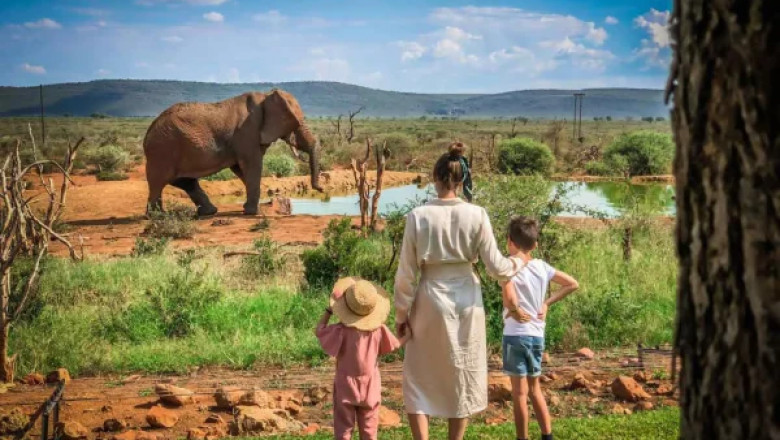 Discover the Magic of Tanzania in Africa with Asili Explorer Tanzania Safari