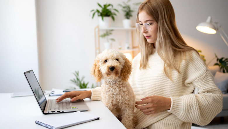 Exploring the Global Pet Insurance Market: Opportunities and Challenges