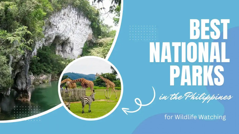 Best National Parks in the Philippines for Wildlife Watching