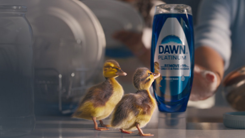 Dawn vs. Other Detergents: Why It’s America’s Favorite Dish Soap