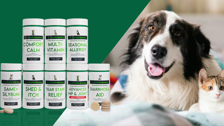 Pet Supplements UK Support Your Pets Health with Quality Nutrition