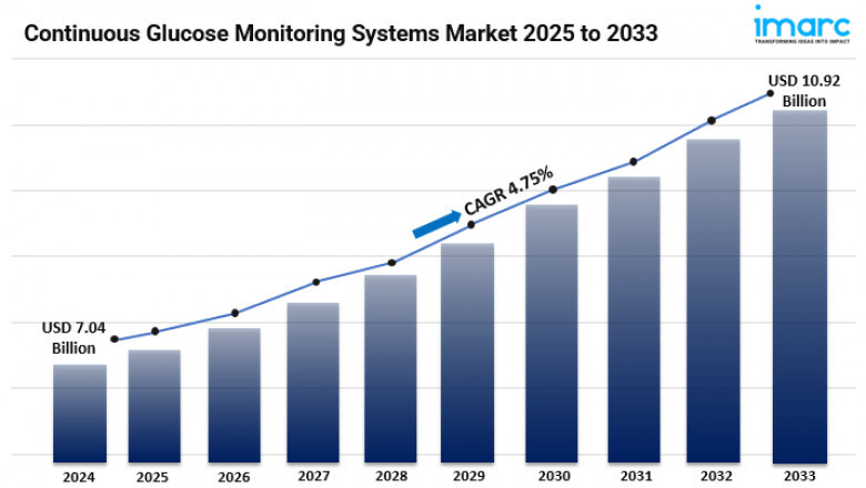 Continuous Glucose Monitoring Systems Market Overview, Trends, Opportunities, Growth and Forecast to 2025-2033