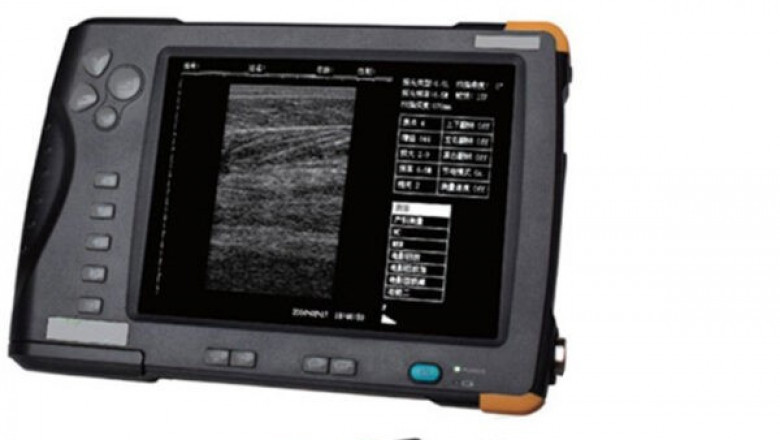Handheld Ultrasound Machine for Veterinary | SIFSOF California