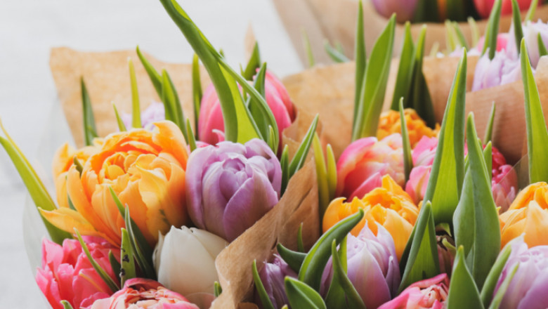 Discover the Art of Gifting with Flowers: A Guide to Finding the Perfect Blooms with The Flowerland