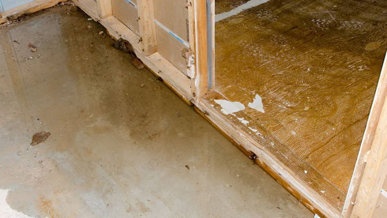 Why Is Quick Action Critical After Water Damage?