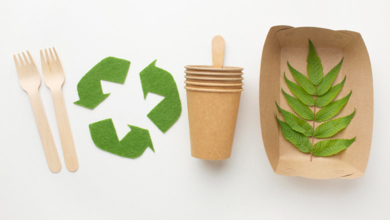 Biodegradable Plastics Market Outlook: Challenges, Opportunities, and Global Trends