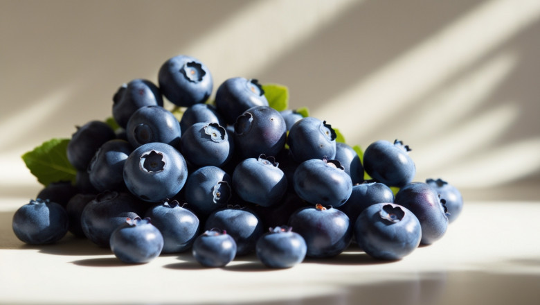 Blueberries Price Trend 2025: Index, Historical Price Chart and Forecast