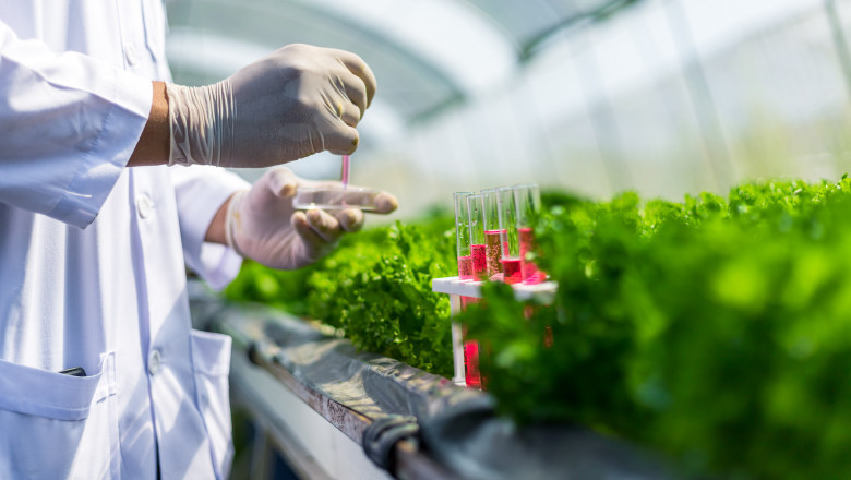 Global Agricultural Biologicals Market Demand Soars Amid Sustainable Farming Push