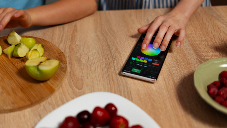 Japan Portable Food Allergen Sensor Market: Empowering Safe Eating Through Innovation