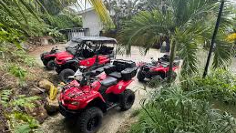 Where the Jungle Roars and the Engine Responds: ATV Journeys Beyond the Usual in Santa Teresa