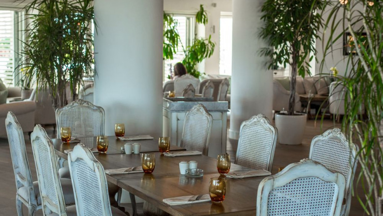 Top Dining Room Amenities to Expect in a Cozy Mountain Lodge Hotel