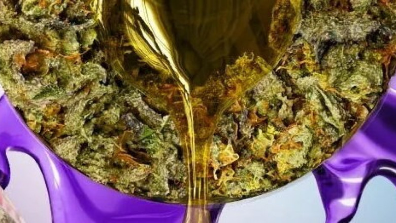 Why Delta 8 Edibles Are a Game-Changer for Wellness Seekers