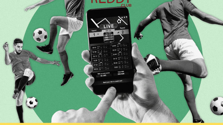 Discover ReddyBook: Your Trusted Destination for Seamless Online Gaming