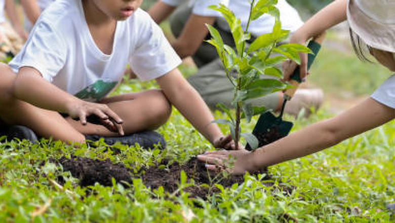 Dubai Landscaping Experts: Transforming Outdoor Spaces with Premium Landscaping Services in Dubai