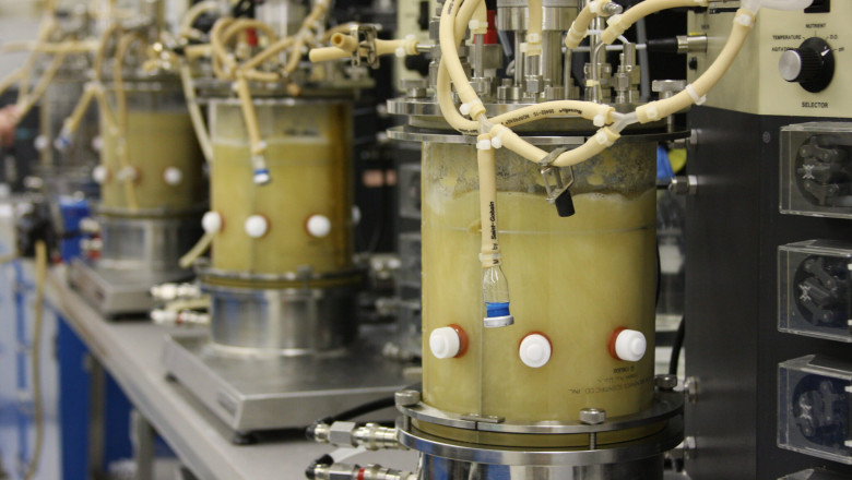Global Fermentation Chemicals Market: Powering the Bio-Based Economy