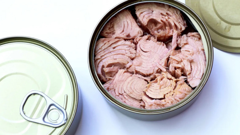 Canned Tuna Manufacturing Plant Capital Investment 2025: Project Report, Manufacturing Process and Profit Margin