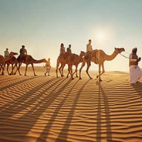 sdesertsafari