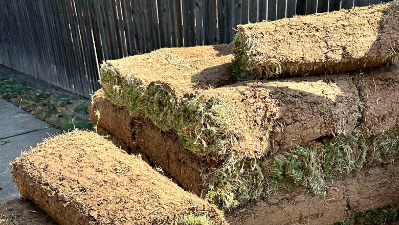 Getting Started with Your New Sod Lawn