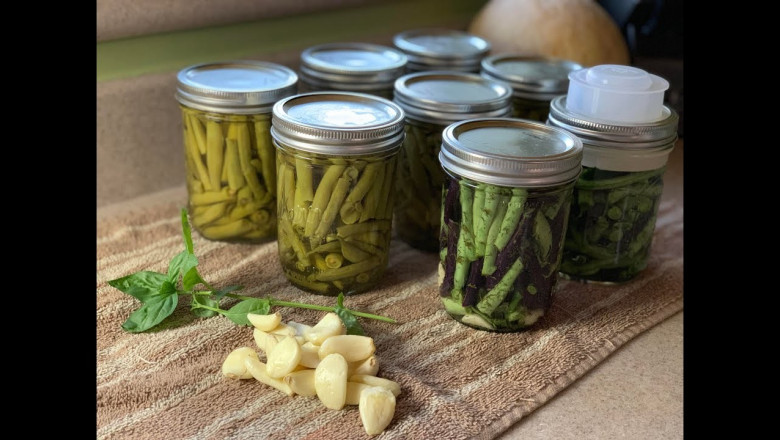 Global Green Preservative Market: A Comprehensive Overview and Market Forecast