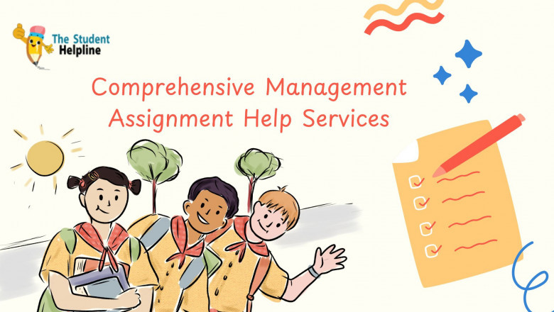 Comprehensive Management Assignment Help Services