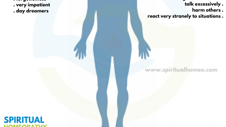 Best Homeo Doctor in Hyderabad for ADHD – A Natural Path to Healing