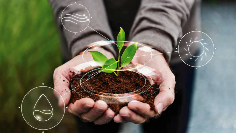 Carbon Neutral Practices Leading to a Sustainable Future