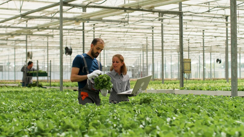 Turkey Agritech Market: Digital Transformation in Agriculture