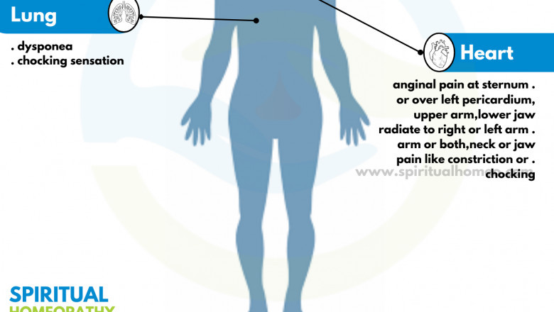 Homeopathy for Angina Pectoris: A Holistic Path to Healing