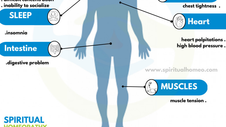 Best Homeo Doctor in Hyderabad for Anxiety Disorder – Natural, Holistic Healing