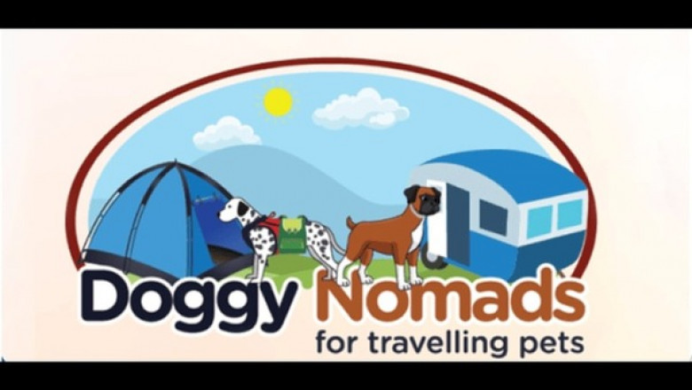 Post-Surgery Pet Sitting: Compassionate Care by Doggynomads