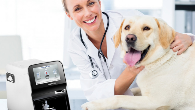 United States Veterinary Point of Care Diagnostics Market: Improving Animal Health Outcomes with Advanced Diagnostics