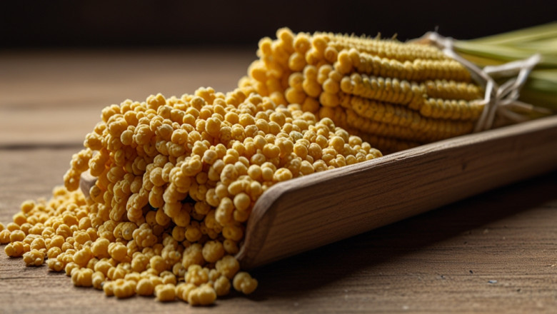 Millet Prices, Chart, Trend, News, Index, Monitor and Forecast Data
