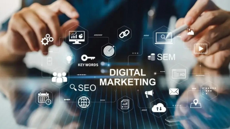 From Visibility to Victory: Why Your Business Needs SEO Experts Now