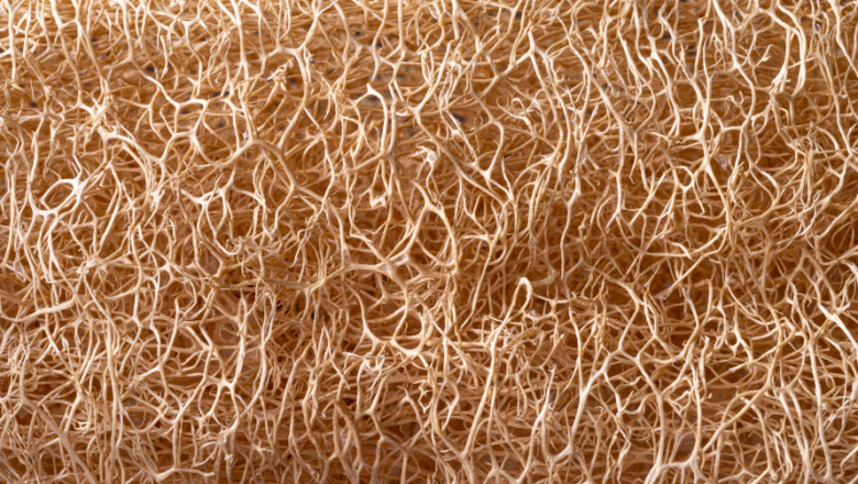 Hemp Fiber Market Trends 2025: Growth Opportunities and Key Players