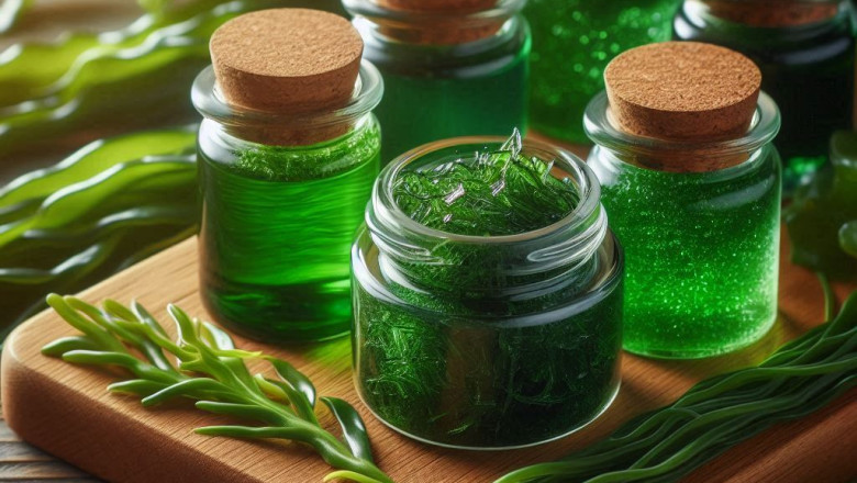 Seaweed Extracts Market: Trends, Growth, and Regional Insights