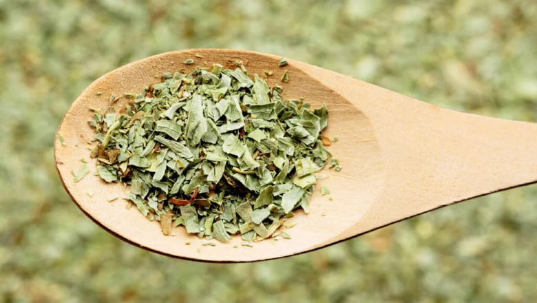 Tarragon Processing Plant Report, Project Economics, Setup Cost and Requirements